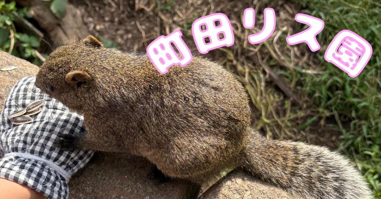 町田リス園のリスがひまわりの種を食べている写真